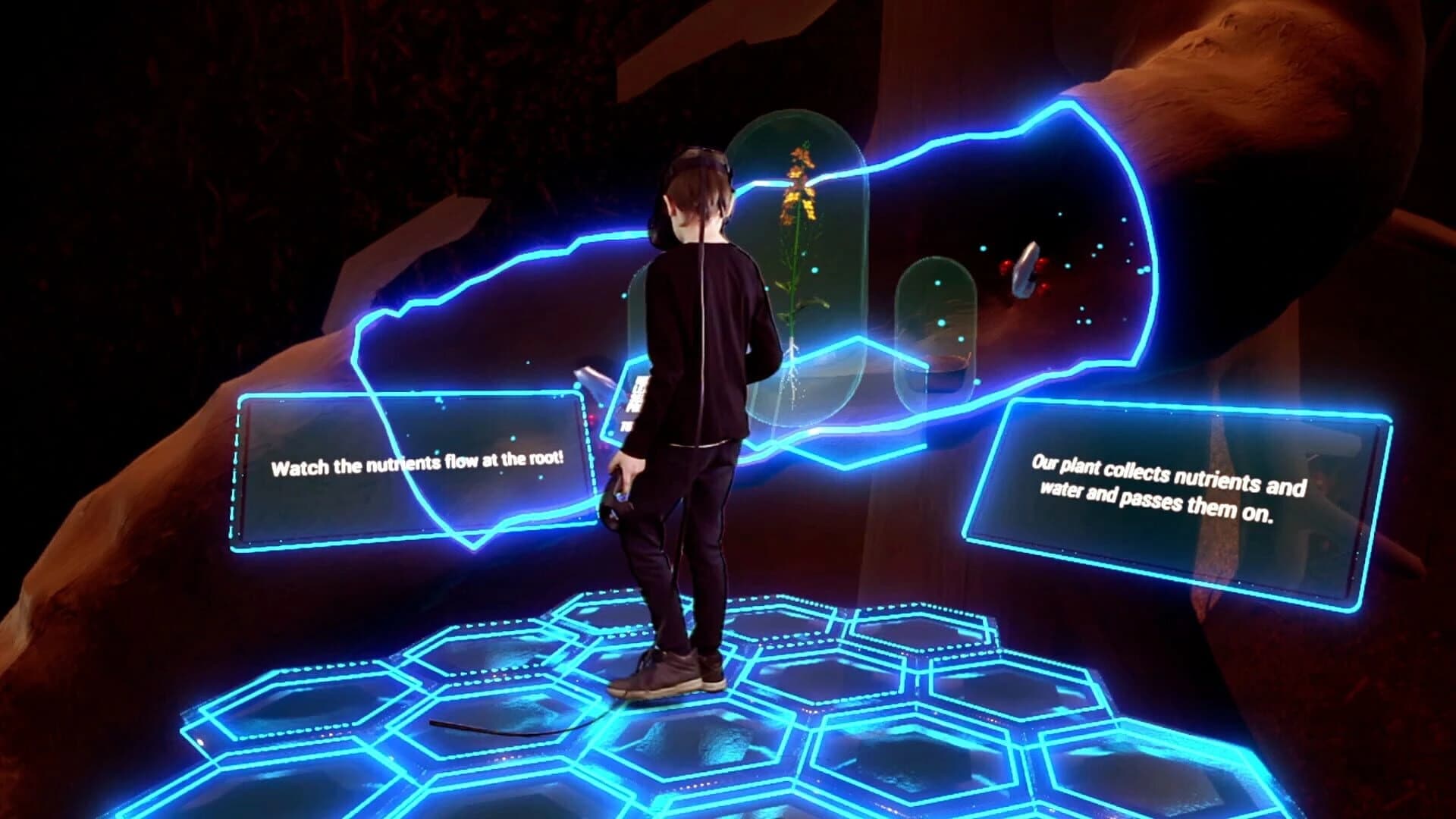 VR Plant Journey screenshot 2