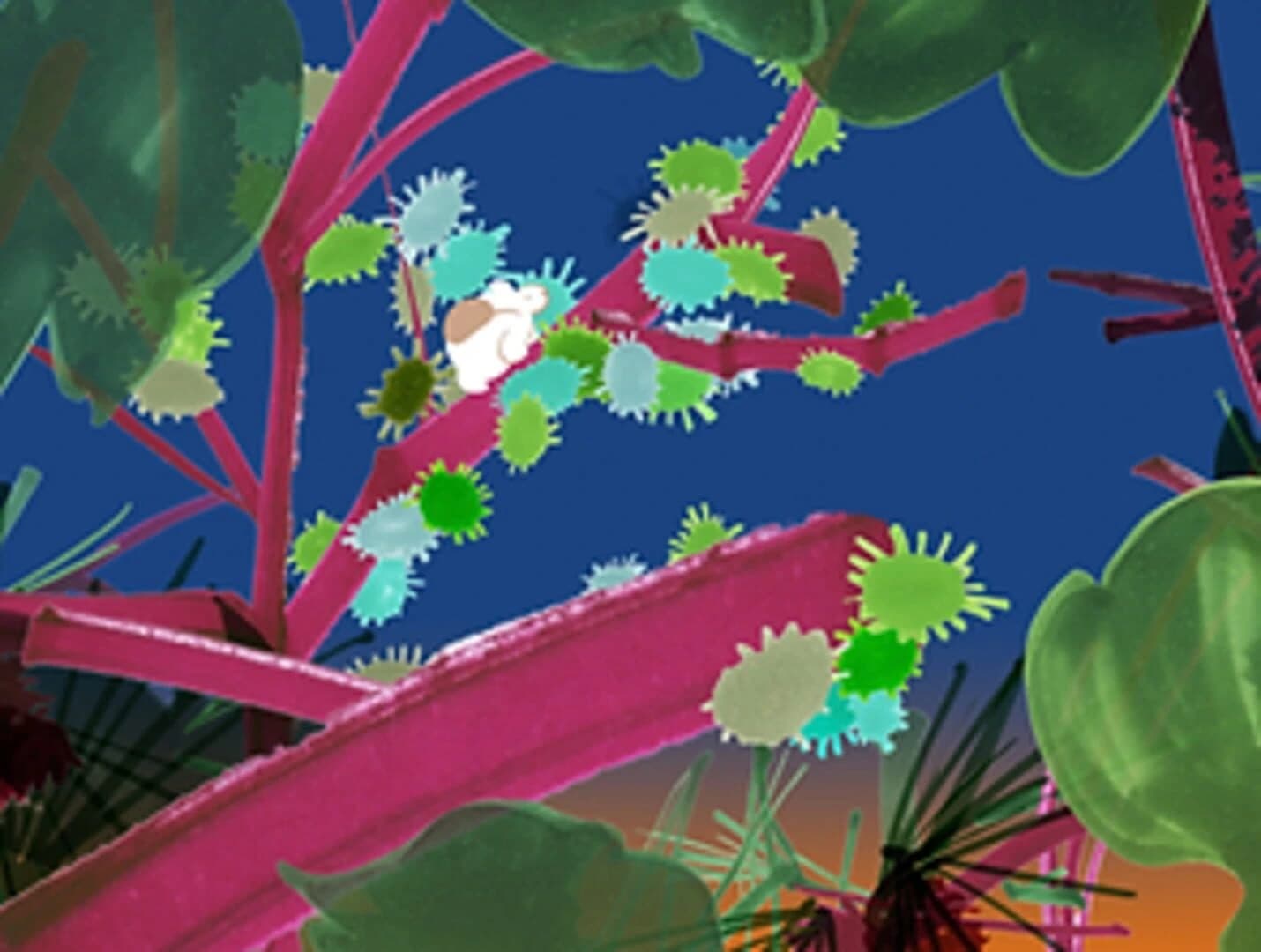 Wander in Wonder screenshot 3