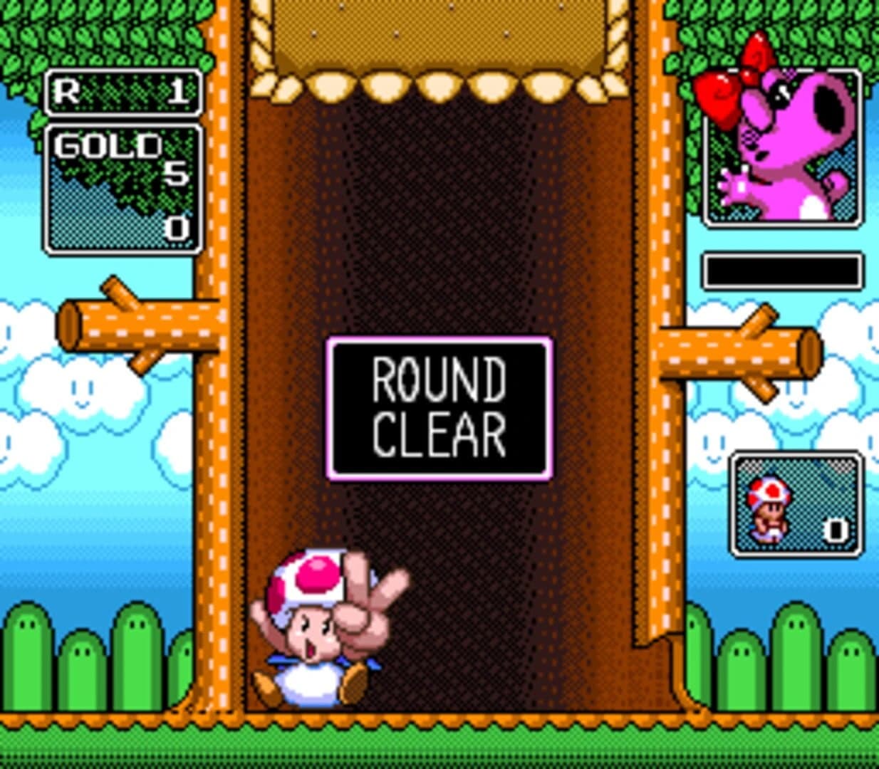 Wario's Woods screenshot 1