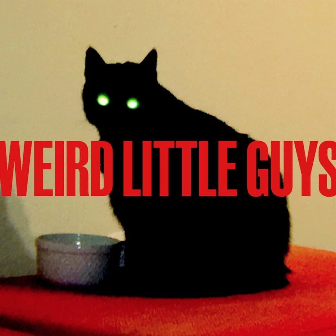 Weird Little Guys screenshot 1