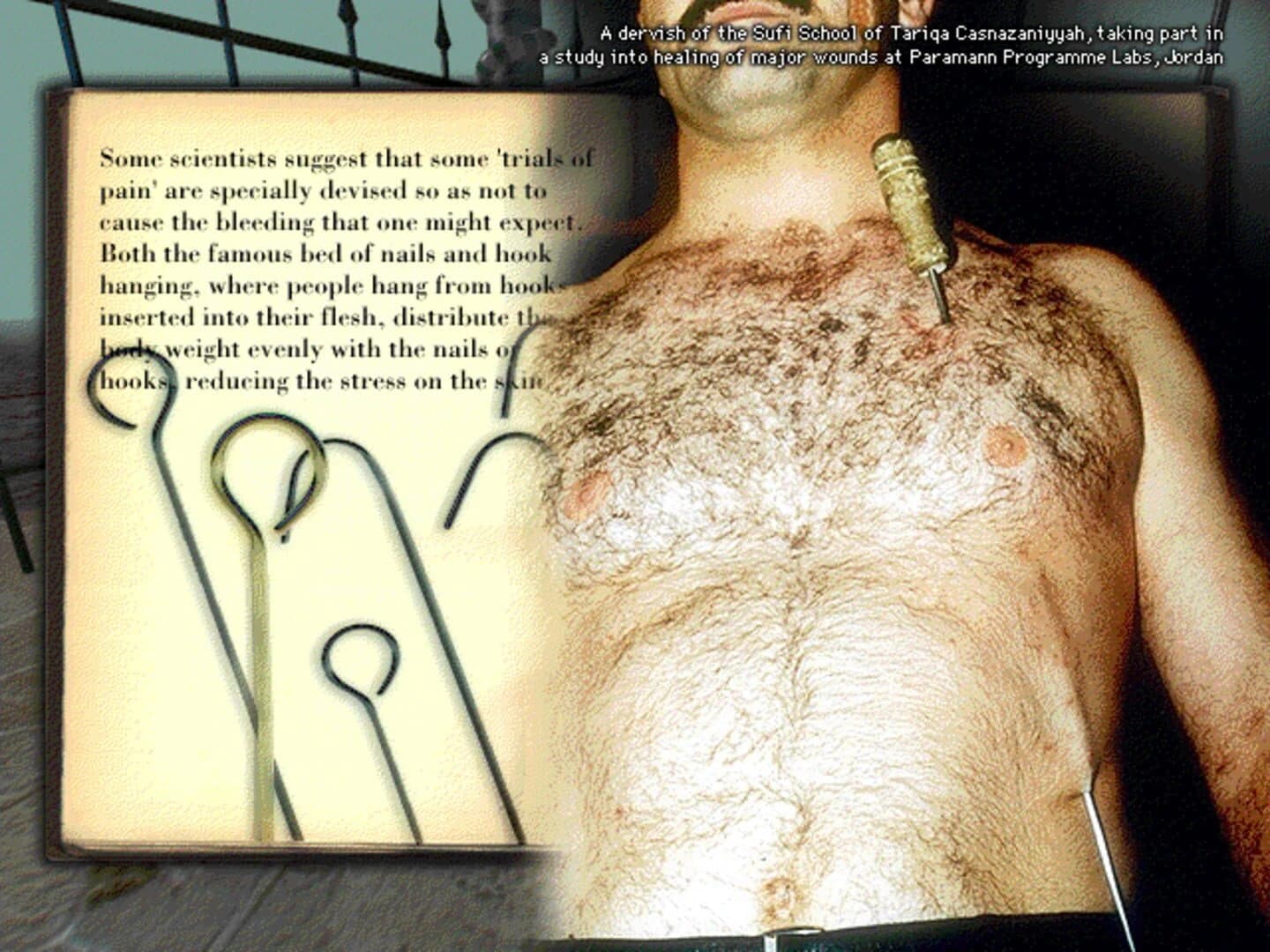 Weird: Truth is Stranger than Fiction screenshot 2