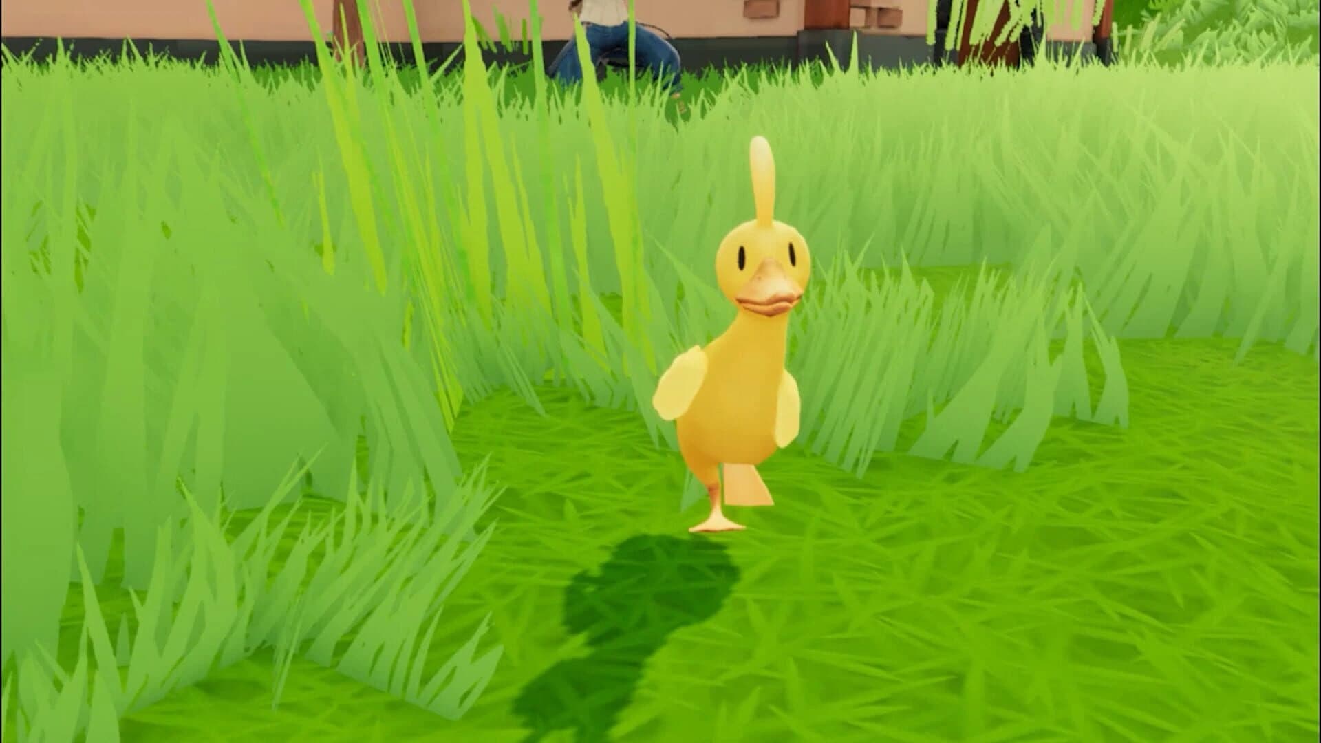 What the Duck screenshot 3