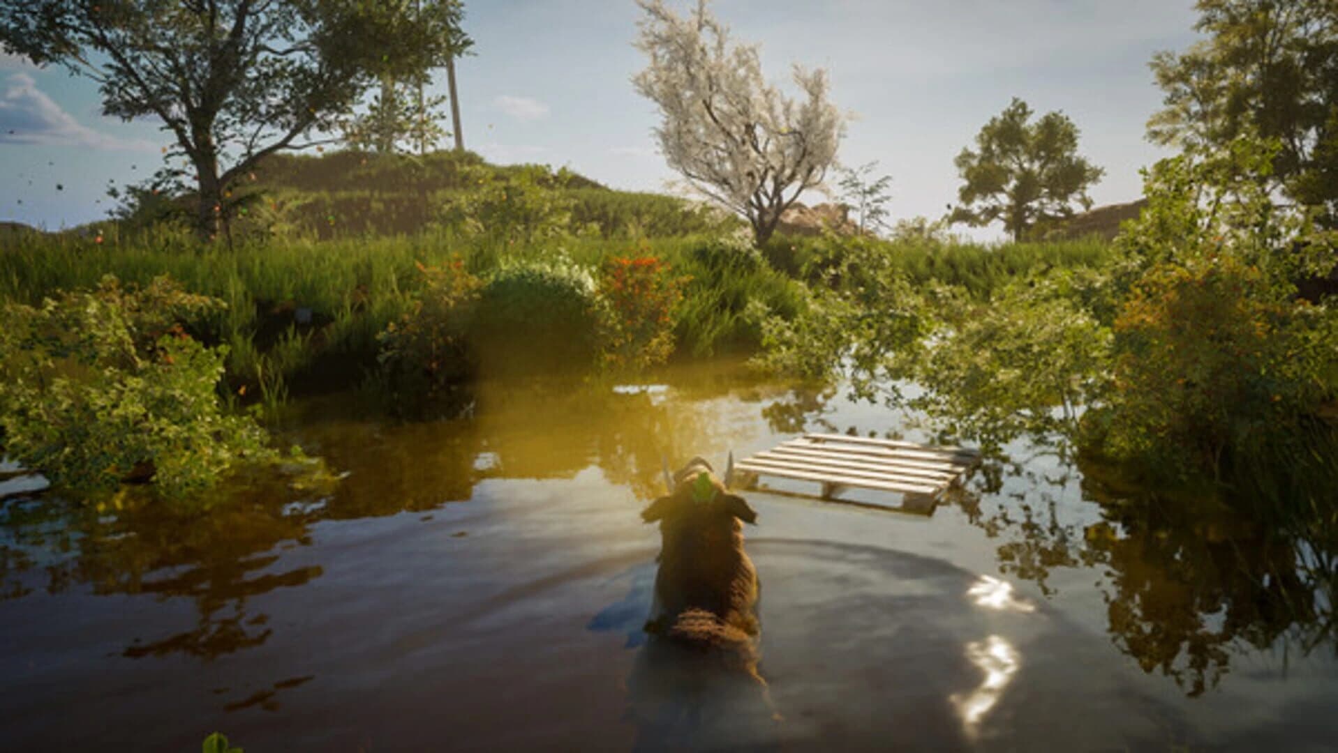 Wild Terrain screenshot 5