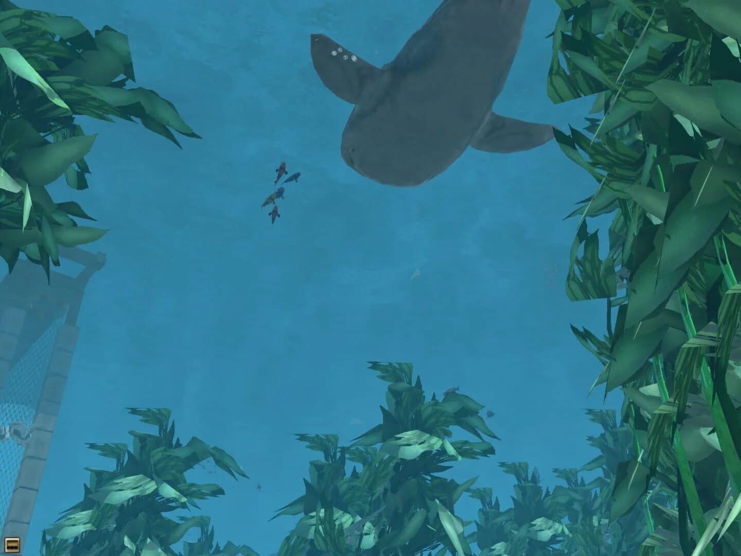 Wildlife Park 2: Marine World screenshot 3