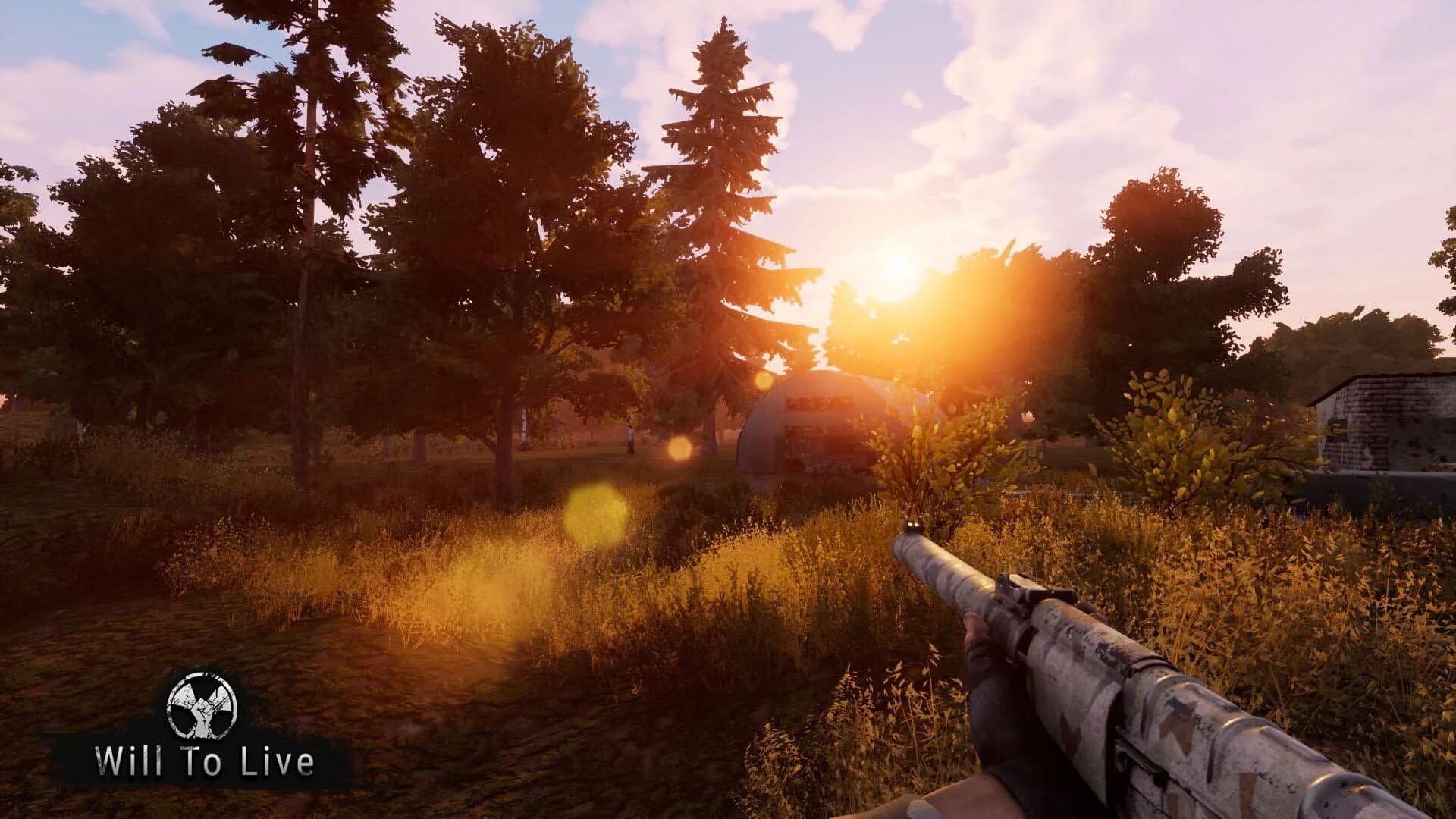 Will to Live Online screenshot 3