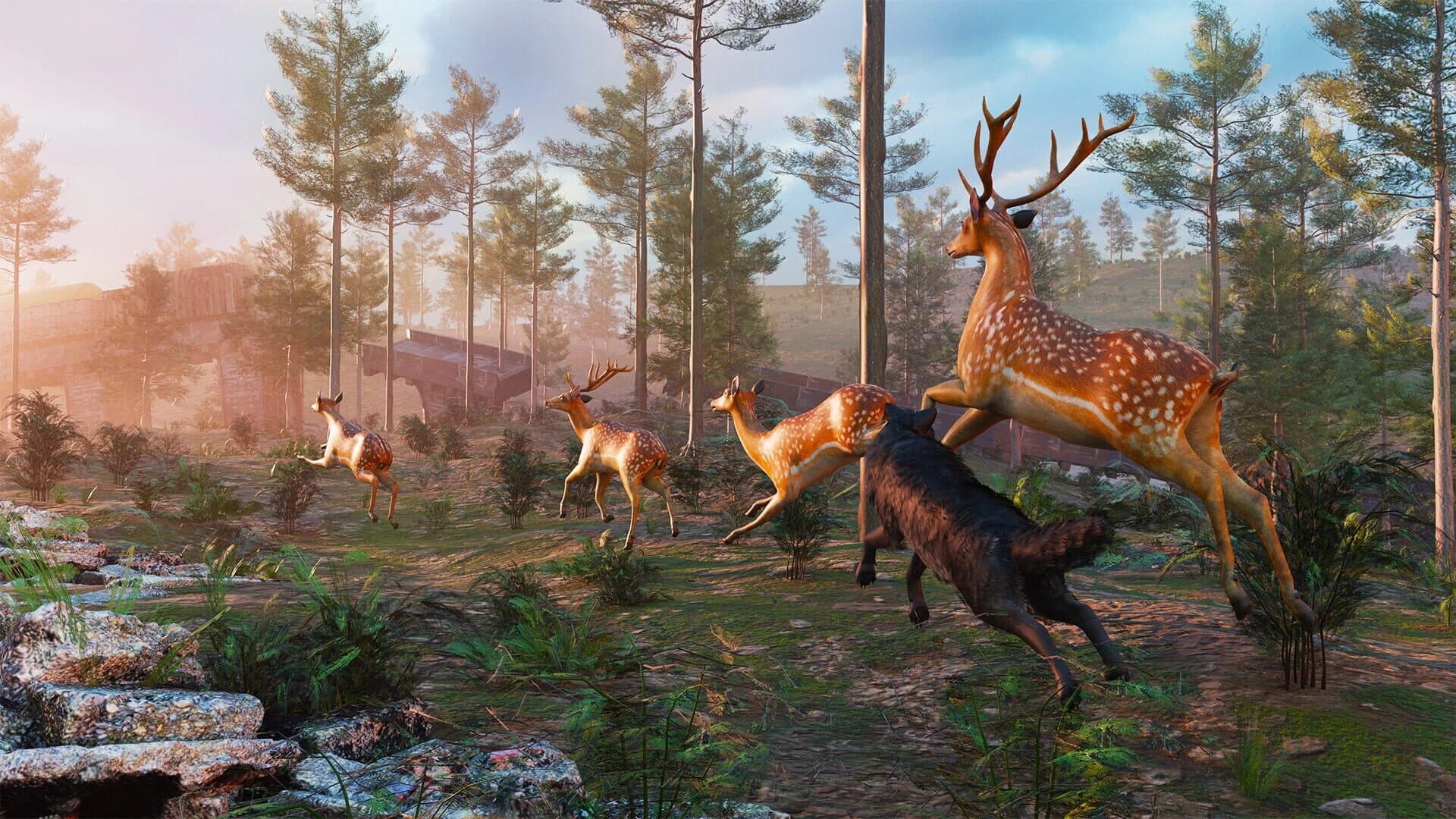 Wolf Simulator screenshot 3