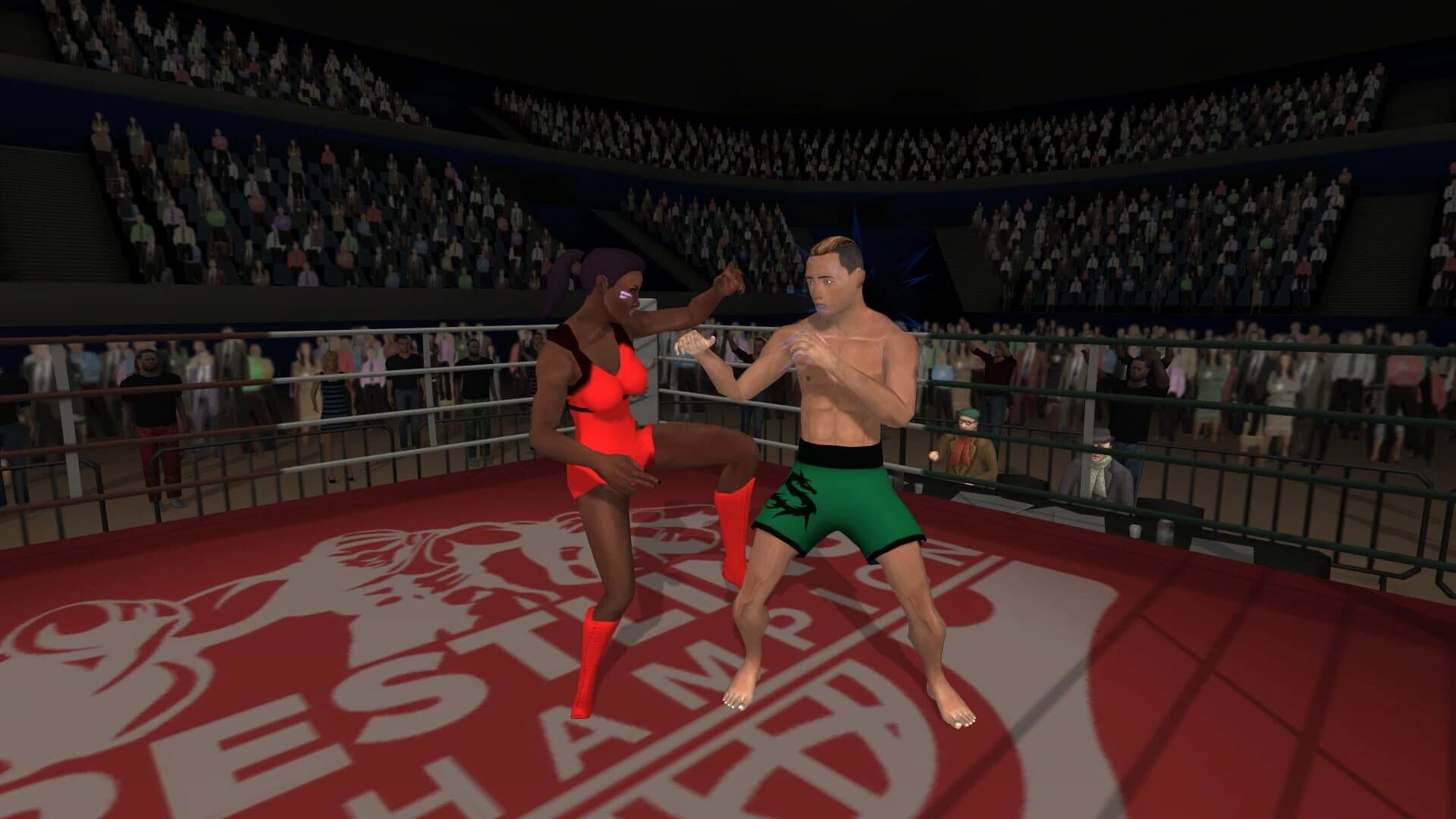 Wrestlers Without Boundaries screenshot 5
