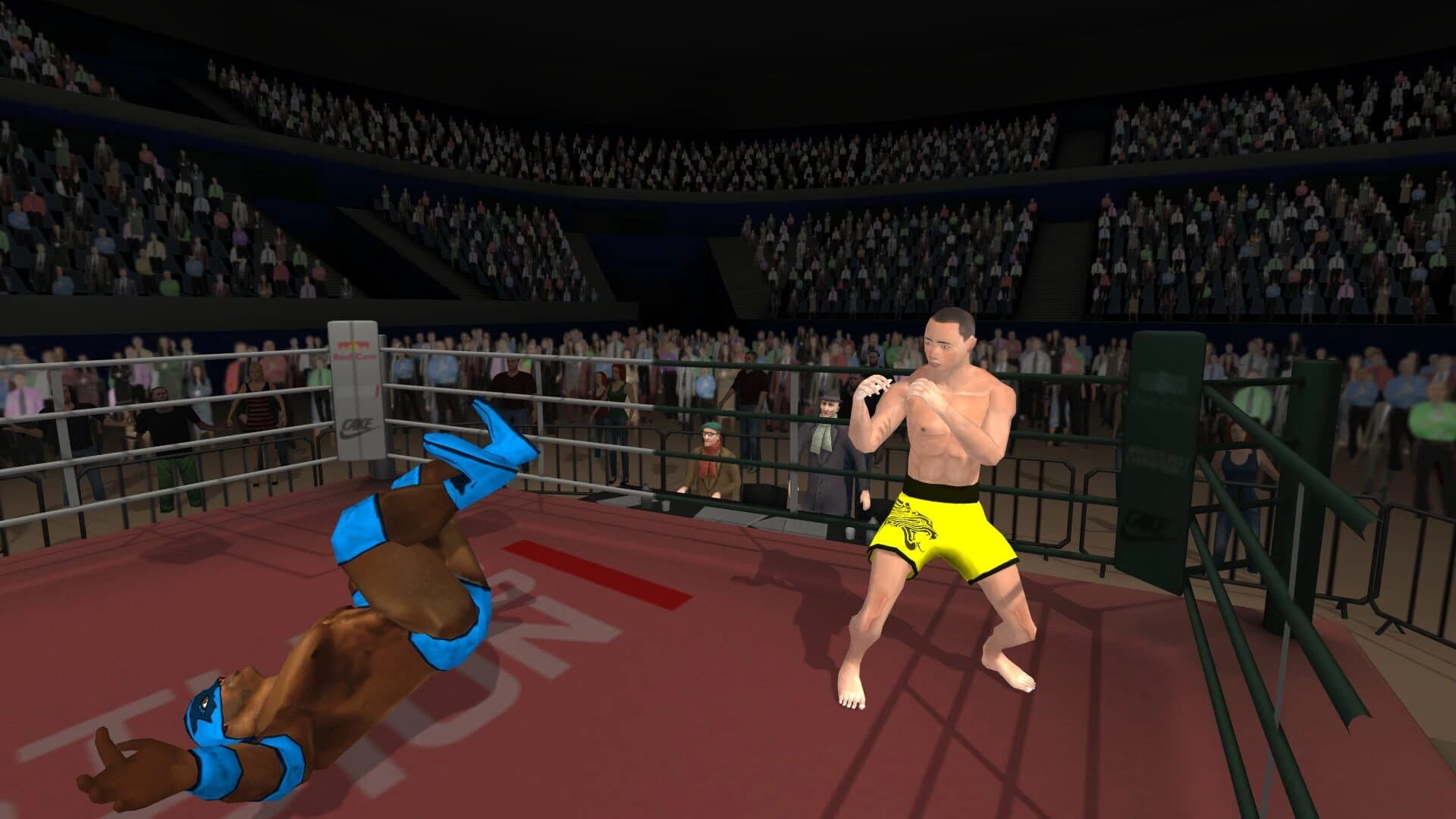 Wrestlers Without Boundaries screenshot 4