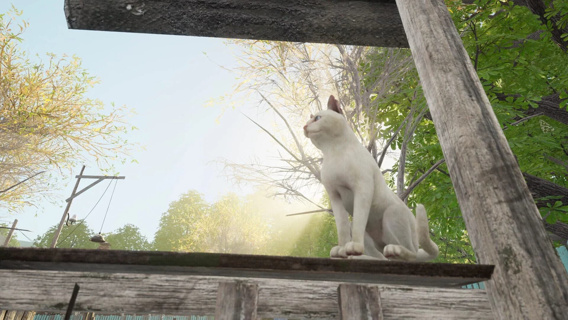 YetiParty screenshot 2