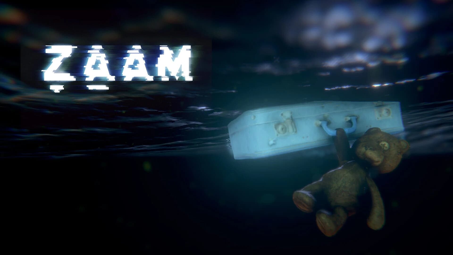 Zaam screenshot 2