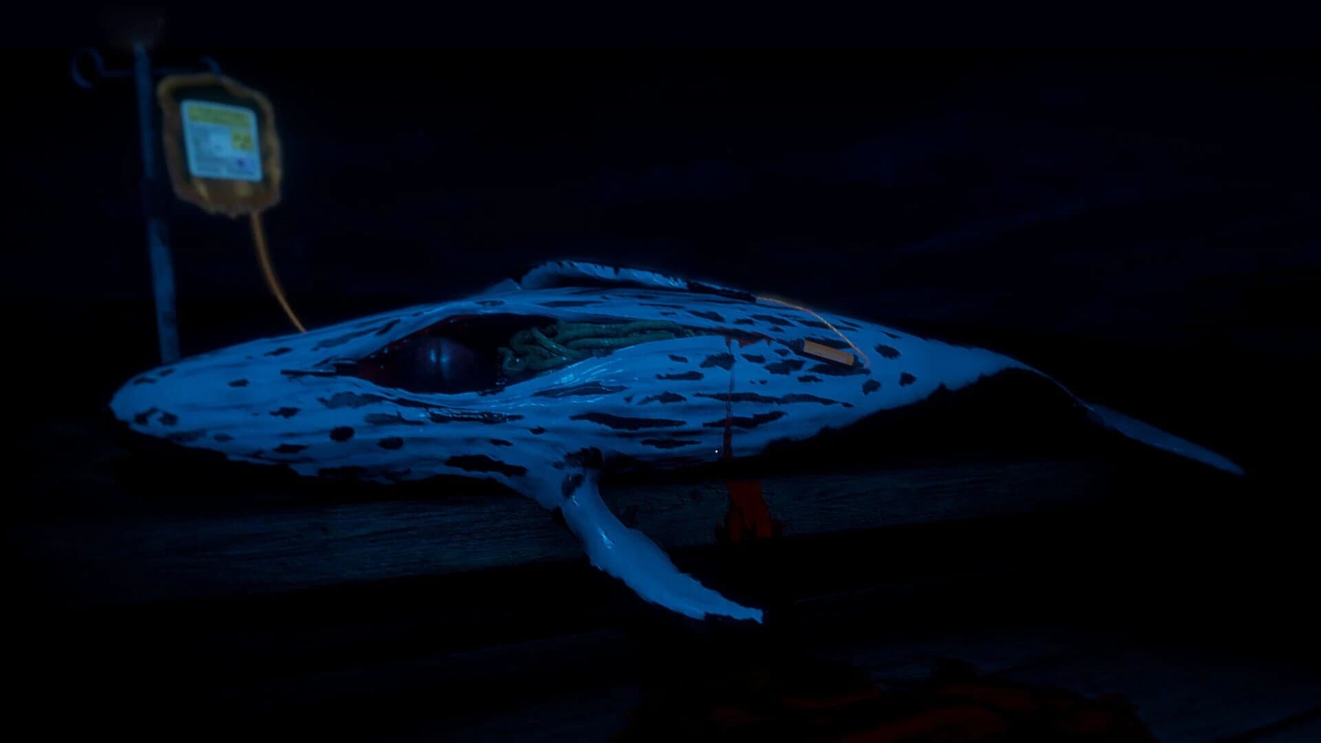 Zaam screenshot 3