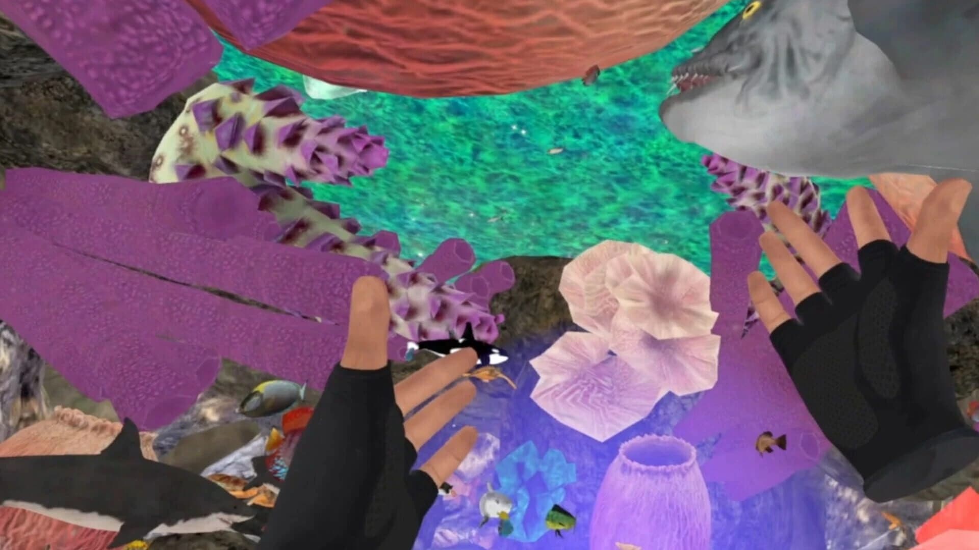 Zosu Ocean VR screenshot 2