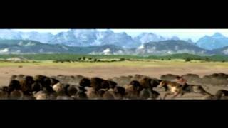Game Intro