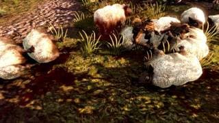 Launch Trailer
