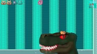 Bobo the Cat video 1