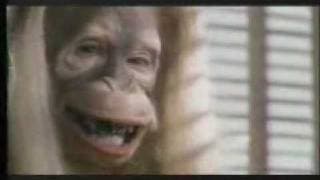 TV commercial