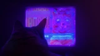 Launch Trailer