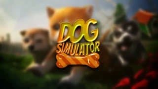 Dog Simulator 2015 video 1