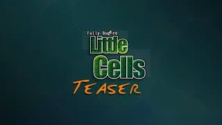 Teaser