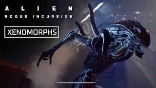 Dev Diary