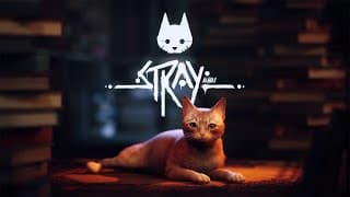 Release Date Trailer