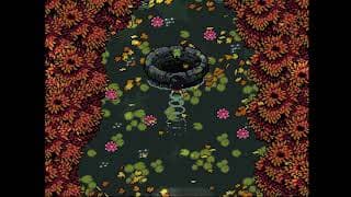 Spiritwell video 2