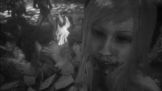 Story Trailer