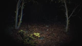 Announcement Trailer