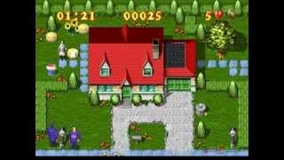 Gameplay Video