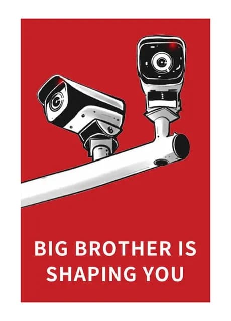 Big Brother Is Shaping You
