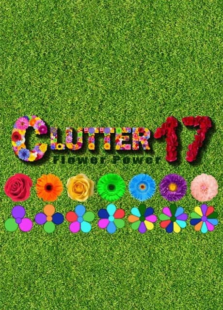 Clutter 17: Flower Power - Collector's Edition