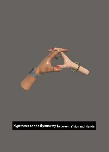 Hypotheses on the Symmetry between Vision and Hands