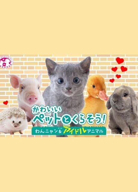 Kawaii Pet to Kurasou! Wan Nyan & Idol Animal