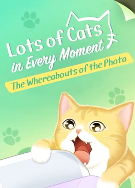 Lots of Cats in Every Moment: The Whereabouts of the Photo