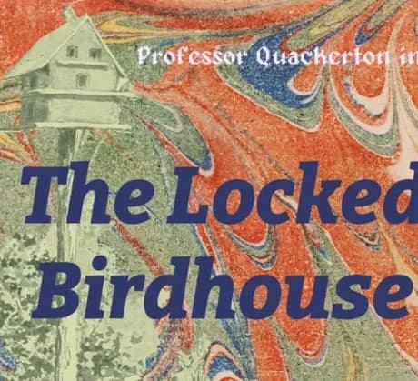 Professor Quackerton in: The Locked Birdhouse