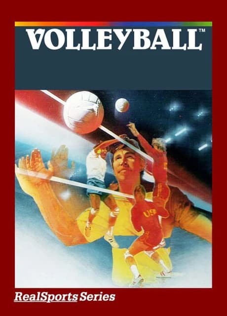 RealSports Volleyball